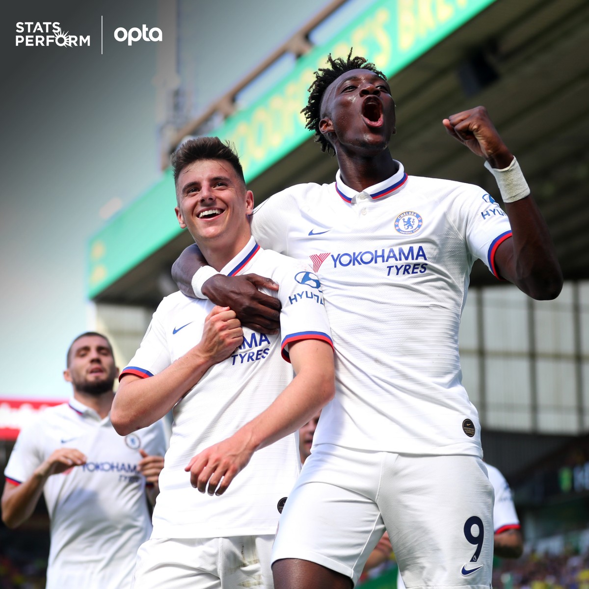 马纳法在场 马纳法在场